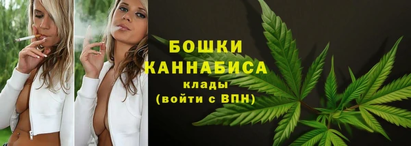 apvp Верея