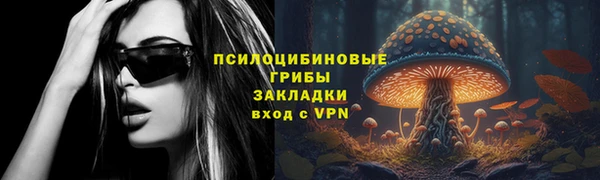apvp Верея