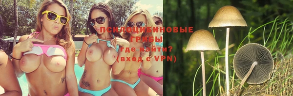 apvp Верея