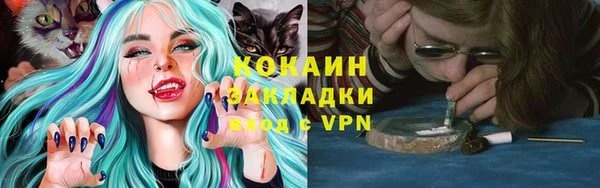 apvp Верея