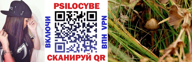 Галлюциногенные грибы MAGIC MUSHROOMS  Купить закладки  Татарск 